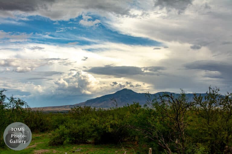 Naco Highway Monsoon