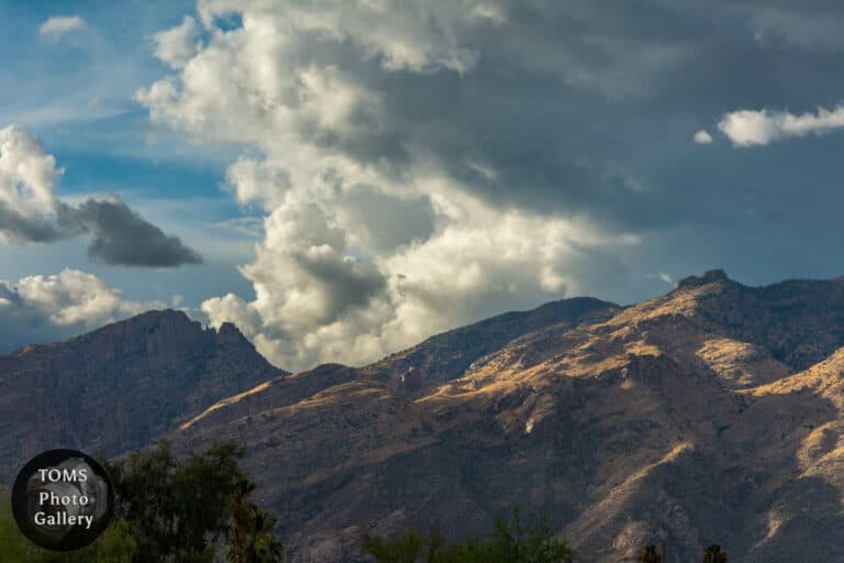 Tucson Foothills