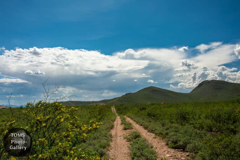 Red Mountain Road