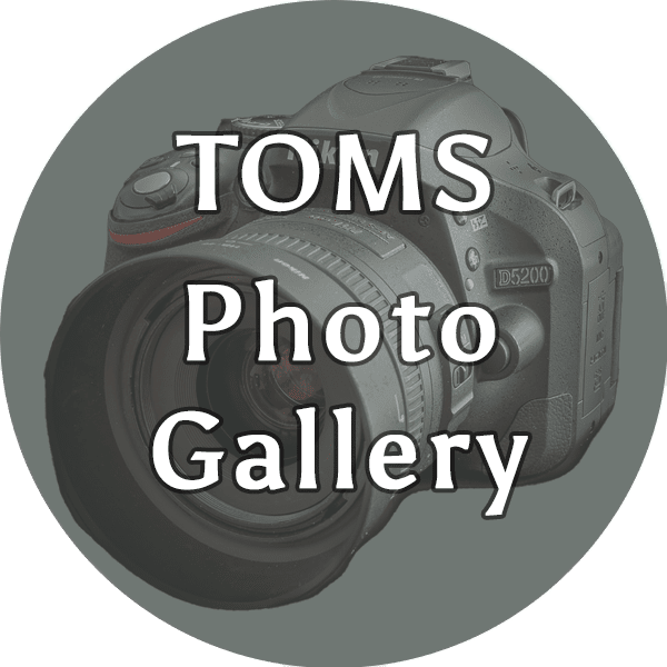 Toms Photo Gallery